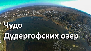 Безымянное озеро в красном селе рыбалка
