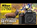 Nikon D750 Set Up (like the D850) for Bird & Wildlife Photography