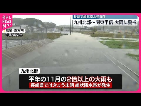 庭を雨から守る: この春の洪水と戦うために今すぐ植えるべき 5 本の木  庭園