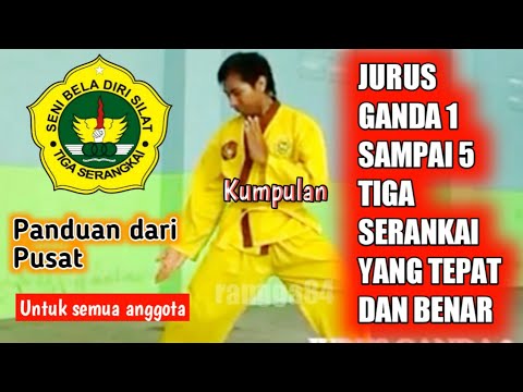 Kumpulan Jurus Ganda Sbds TS Mulai dari Ganda 1 Sampai 5 || Tiga Serangkai