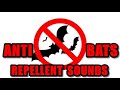 Anti Bats Repellent Sounds - Sound To Repel Bats #AntiBats #NoBats #StopBats