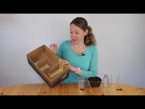 Forsche mit uns! Wir bauen ein Bohnen-Labyrinth - Checky Mai 2023