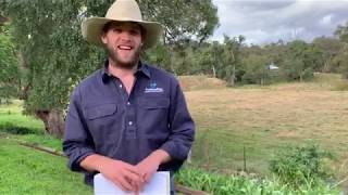 A check-in from AuctionsPlus