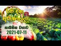 Rividina Arunella කාබනික වගාව 2021 07 11 Rupavahini Agricultural Programme
