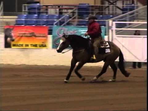 Tim McQuay and Hollywood Gotta Gun