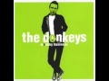 The Donkeys - Listen to your radio