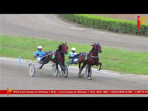 Prova di Qualifica del 14 Giugno 2023 - 3/4 Anni - Metri 1600