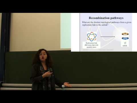 Mariel Vazquez (UC Davis) - Lecture 2 - The tangle method