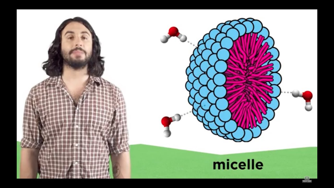The Laws of Thermodynamics, Entropy, and Gibbs Free Energy