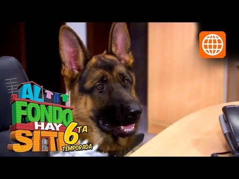 There's Room in the Background Chapter 1069 - Part 5/5