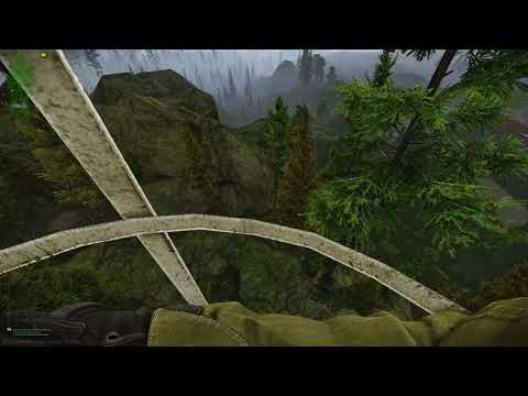 Some Ladders Work in Tarkov