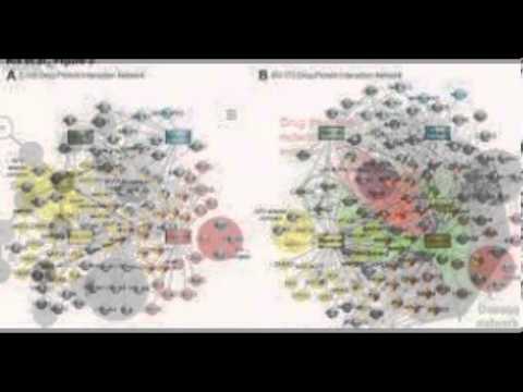Bafetinib blocks WT Bcr-Abl autophosphorylation