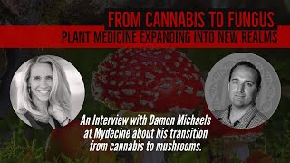 Plant Medicine expands into new realms