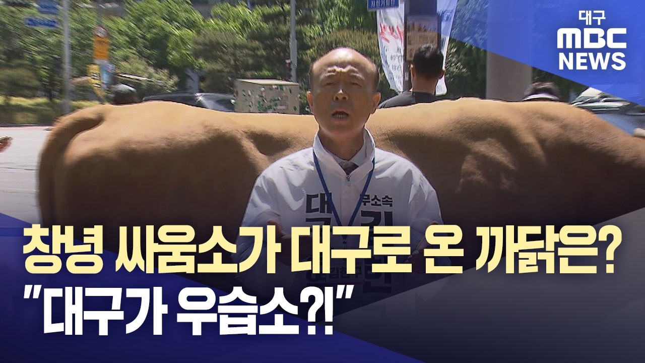 범어네거리에 나타난 진짜 싸움소! "대구가 우습소?" 무소속 후보의 도발