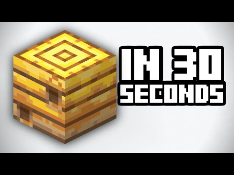 27 Seconds of Minecraft Beehive FACTS