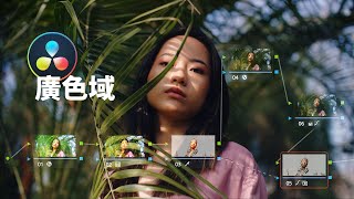 達芬奇廣色域如何正常使用LUTs和限定器 | “三級調色”
