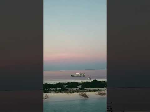 Maldives Sand Bank #dji #mavic #sandbanks