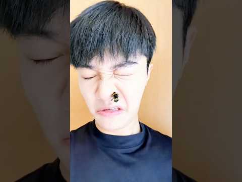 ¡Viajar con mi abejita!