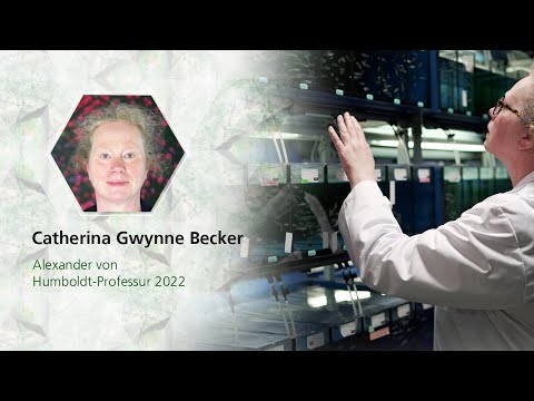 Regeneration des Rückenmarks  | Catherina Becker ist Humboldt-Professorin