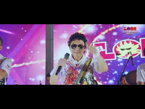 5    Dolor y lágrimas - José Luis Arroyo "El Lobo🐺"