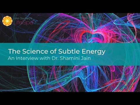 The Science of Subtle Energy: an Interview with Dr. Shamini Jain | John Douillard's LifeSpa