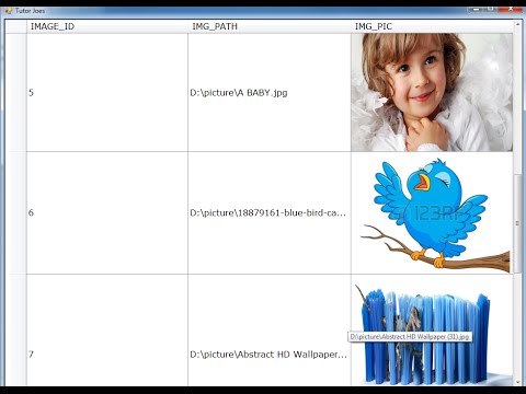 Save Image In Database And Display In PictureBox and Datagridview C Net Part 4