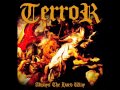 Terror - So Close to Defeat