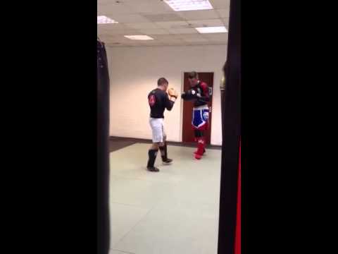 IronMann MMA Pro Training 1