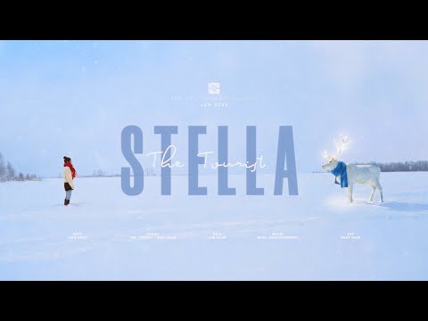 비디오 11