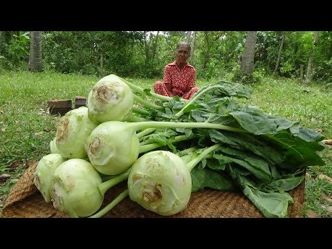 download lagu mp3 mp4 Noolkol Vegetable, download lagu Noolkol Vegetable gratis, unduh video klip Noolkol Vegetable