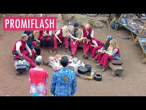 Welcher Allstars-Dschungelcamper nervt euch am meisten?
