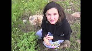 Little Mystery – “Eye of The Storm”