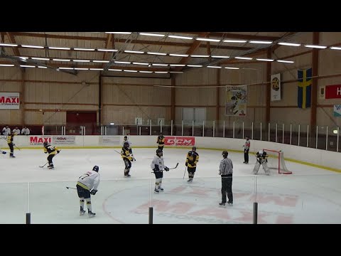 U16 SM-slutspel Goalie highlights (Group C)