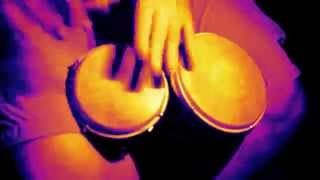 Bongos FREEJAC – Whirl-Y-Reel 1 / Afro Celt Sound System