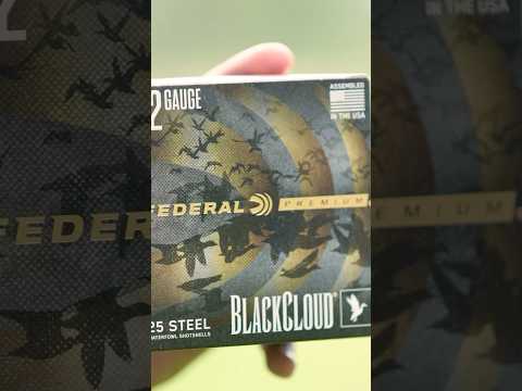 Ammo Test! 12 Gauge BB - Federal Black Cloud Steel