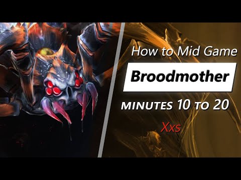 Xxs mid game Broodmother | Minute 10 to 20