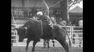 Rolling Blackouts Coastal Fever - Read My Mind (Official Video)
