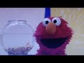 Everywhere I Go Elmo S World Version