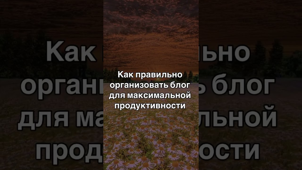 Как правильно организовать блог для максимальной продуктивности