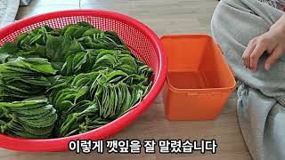 유튜브 썸네일