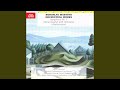 Symphony No. 3, H. 299 - Allegro. Andante poco moderato