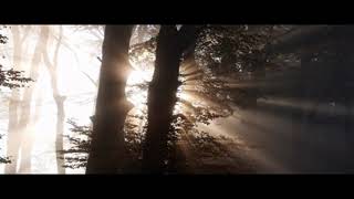 Motorpsycho - Yay! - Hotel Daedalus