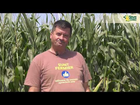 Ziua Porumbului Orezu 2021, EDIȚIA a XII-a - cel mai asteptat eveniment din viața unui fermier!