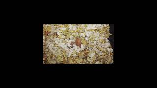 Download lagu https://youtube.com/shorts/dYItCx4dj80?si=CinMX3wjc1qoNmnS #viral mp3