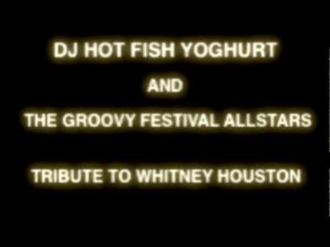 WHITNEY TRIBUTE DJ HOTFISHYOGHURT AND THE GROOVY FESTIVAL ALLSTARS
