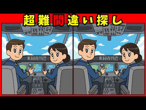 飛行機のお仕事の間違い探し動画 - タップで再生