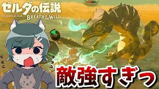 名作「ブレスオブザワイルド」を勉強しようぜ！～命を賭ける覚悟を探す旅～『ゼルダの伝説ブレスオブザワイルド』（再編集版）♯ 6