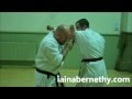 Practical Kata Bunkai Partner And Pad Punching Drill Chinto Gankaku Kushanku Kanku Dai Etc