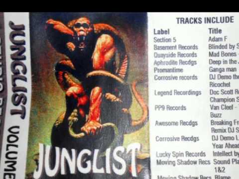 Junglist  - Volume 1     1/2