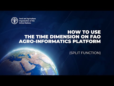 How to Use the Time Dimension (Split Function)